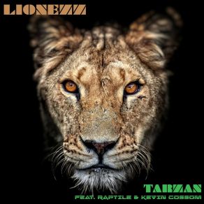 Tarzan album cover