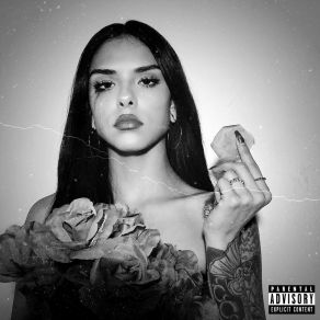 Pretty Lil Liar album cover