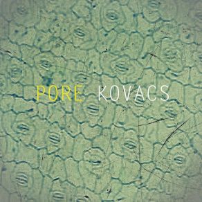 Pore album cover