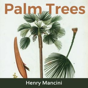 Palm Trees album cover