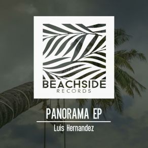 Panorama album cover