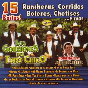 15 Exitos album cover