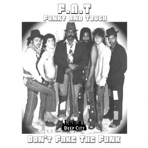 Don't Fake The Funk album cover