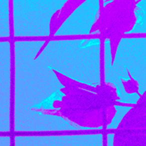 Alle (Maxi-Single) album cover