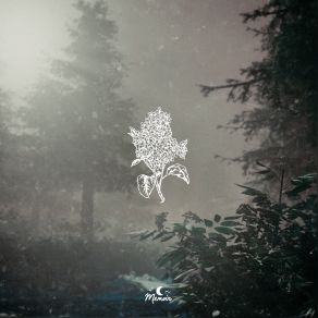 Lilac (Single) album cover