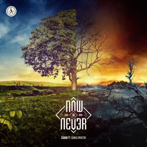 Now Or Never (Single) album cover