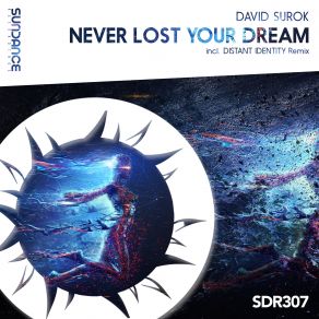 Never Lost Your Dream (Maxi-Single) album cover