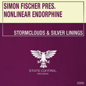 Stormclouds And Silver Linings (Extended Mix) (Single) album cover