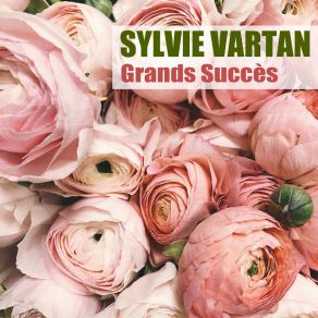 Grands Succès (Remasterisé) album cover