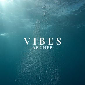 Vibes album cover