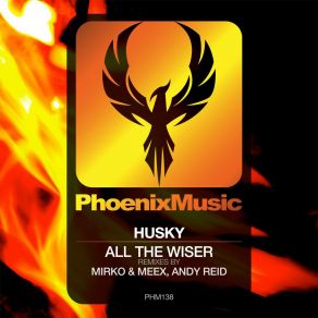 All The Wiser (Remixes) album cover