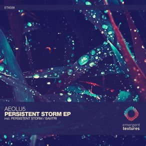 Persistent Storm (Maxi-Single) album cover
