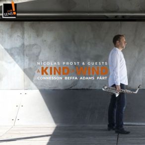 A Kind Of Wind album cover