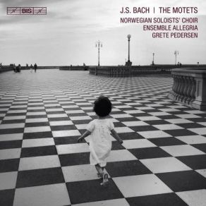 Bach - The Motets - Grete Pedersen album cover