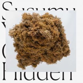 Cloud Hidden album cover
