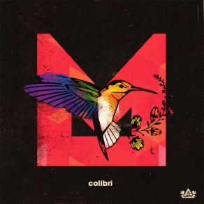 Colibri album cover