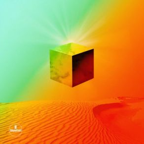The Afterlife album cover