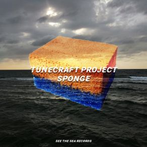 Sponge album cover