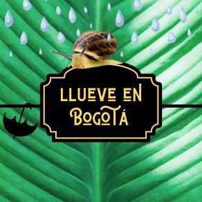 LLUEVE EN BOGOTA' album cover