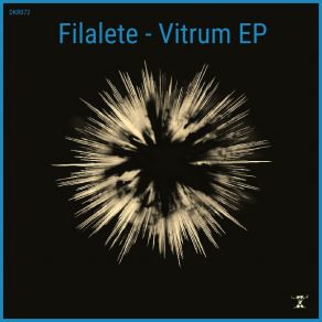 Vitrum album cover