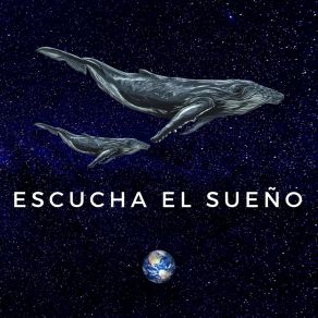 ESCUCHA EL SUENO album cover