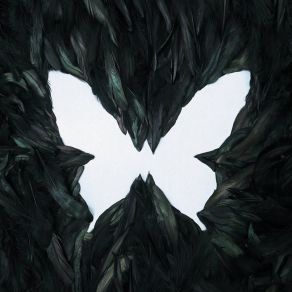 SOAR album cover