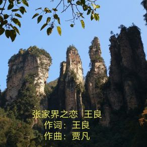 张家界之恋 album cover