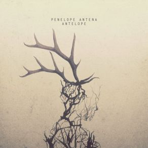 Antelope (Deluxe Edition) album cover