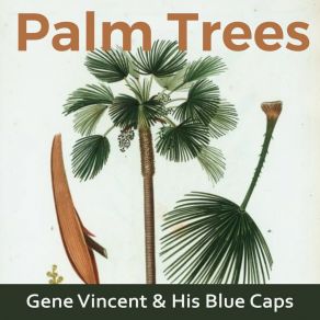 Palm Trees album cover