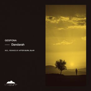 Dandarah album cover
