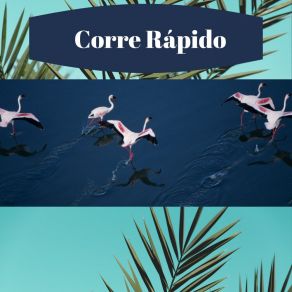 CORRE RAPIDO album cover