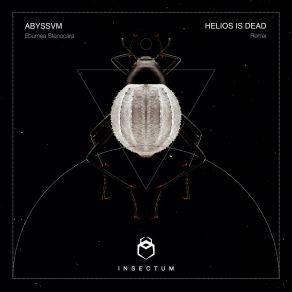 Eburnea Stenocara album cover