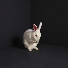 Rabbits album cover