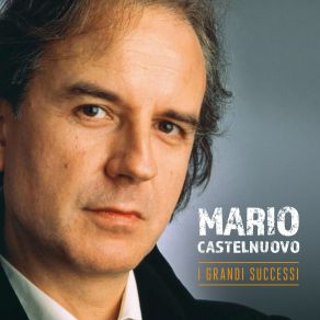 I Grandi Successi album cover