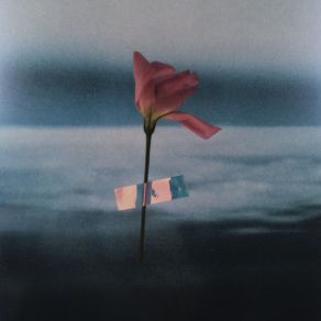 Flowerbed album cover