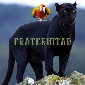 FRATERNITAD album cover