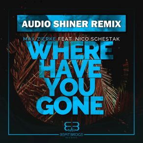 Where Have You Gone (Audio Shiner Remix) album cover