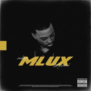 MLux / Past Tense album cover