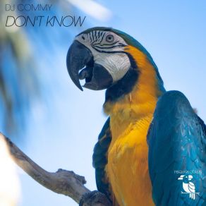 Don't Know album cover