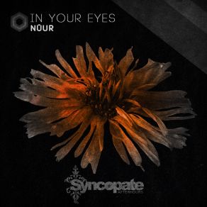 In Your Eyes (Original Mix) album cover