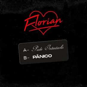 Pude Intentarlo / Pánico album cover