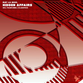 Hidden Affairs album cover