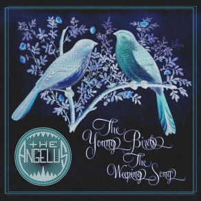 The Young Birds / The Weeping Song album cover