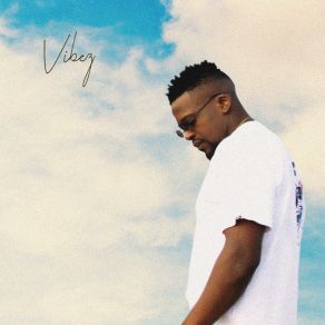 Vibez album cover