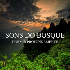 Dormir Profundamente: Sons Do Bosque album cover