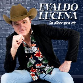 Vá Dizer Pra Ela album cover