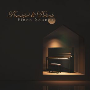 Beautiful & Delicate Piano Sounds: Instrumental Soft Piano Melodies Perfect For Relaxation album cover