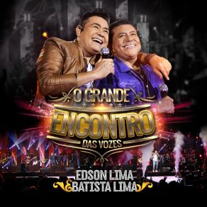 O Grande Encontro Das Vozes (Ao Vivo) album cover