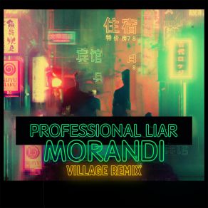 Professional Liar (Village Remix) album cover
