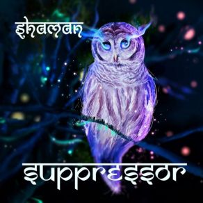 Shaman album cover